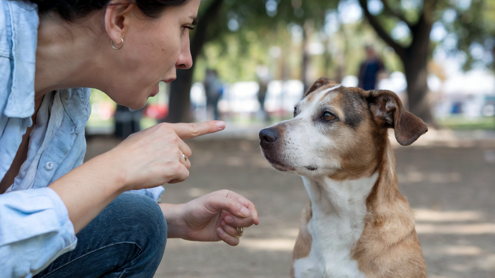 The right tone and timing can greatly improve your dog's response