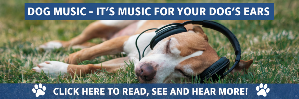 Dog music banner