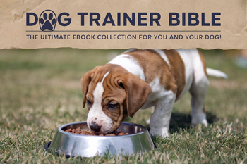 Dog trainer bible
