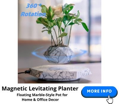 Magnetic levitating planter